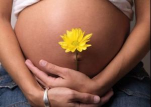 блог о беременности
